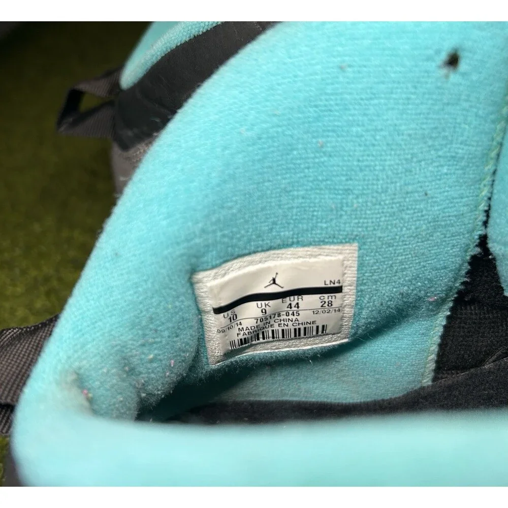 Nike Men’s Air Jordan 10 Retro Lady Liberty Silver Gray Size 10 705178-045